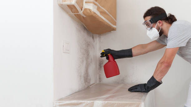 Professional Bathroom Mold Removal technician working in Robbinsville, NJ
