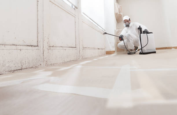 24/7 Emergency Bathroom Mold Removal experts in Robbinsville, NJ
