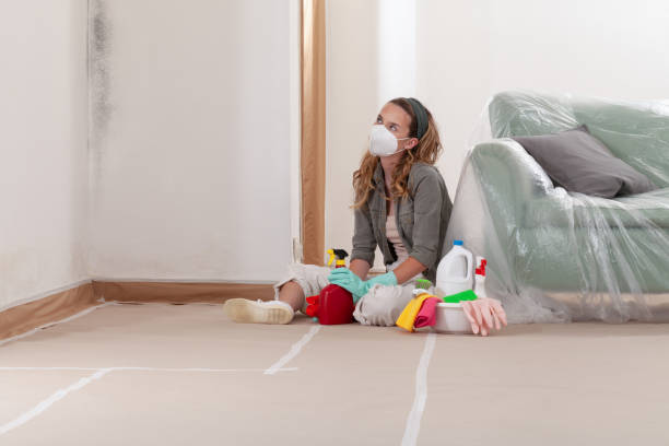 Reliable Bathroom Mold Removal contractor in Robbinsville, NJ by Mold Remediation HQ